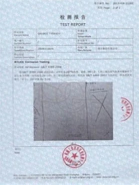 TEST REPORT TEST REPORT